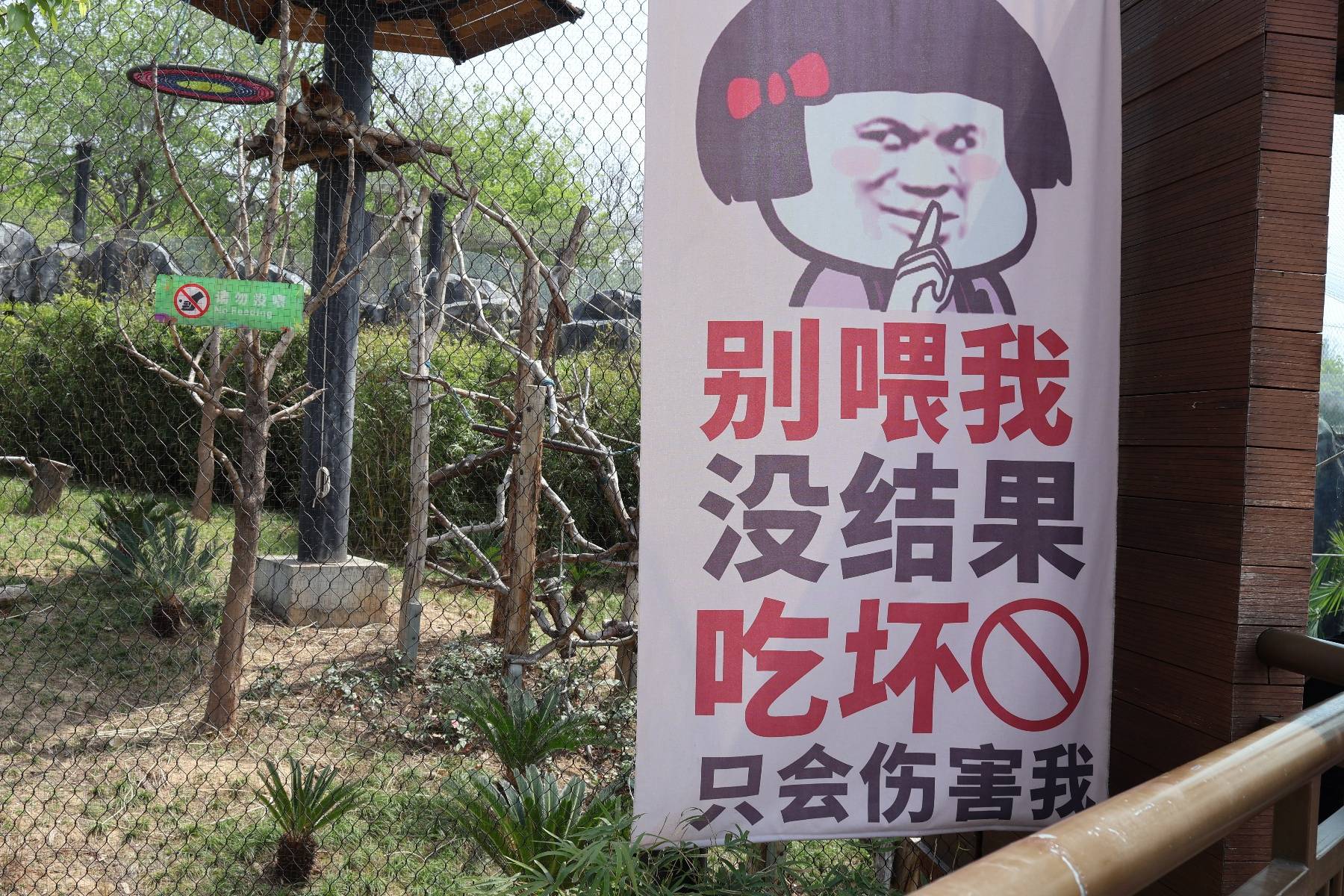 "莫喂我",武汉动物园花式"禁止投喂"标识走红,游客:幽默且有记忆点,是
