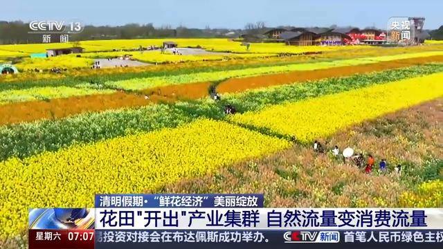 星空体育平台品牡丹宴喝油菜花咖啡 这个春天花田“开出”新产业(图1)