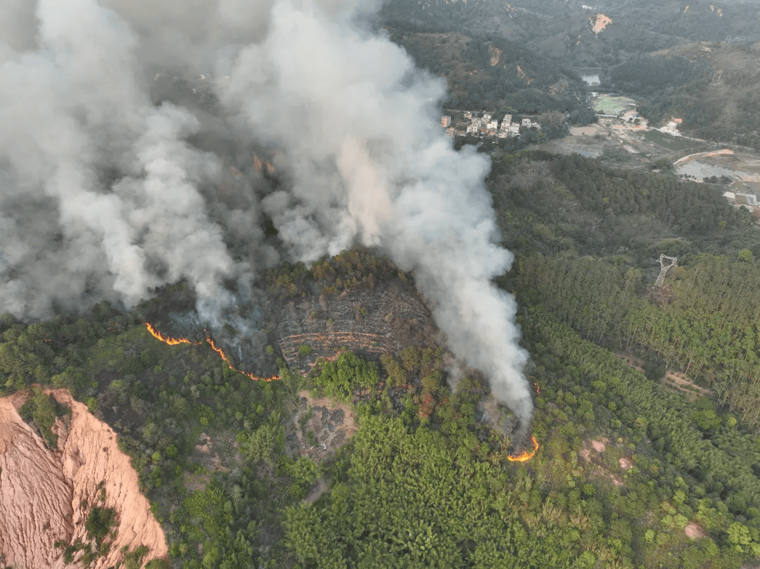 清明当天,祭祖引发山火!肇庆已有3人被抓获