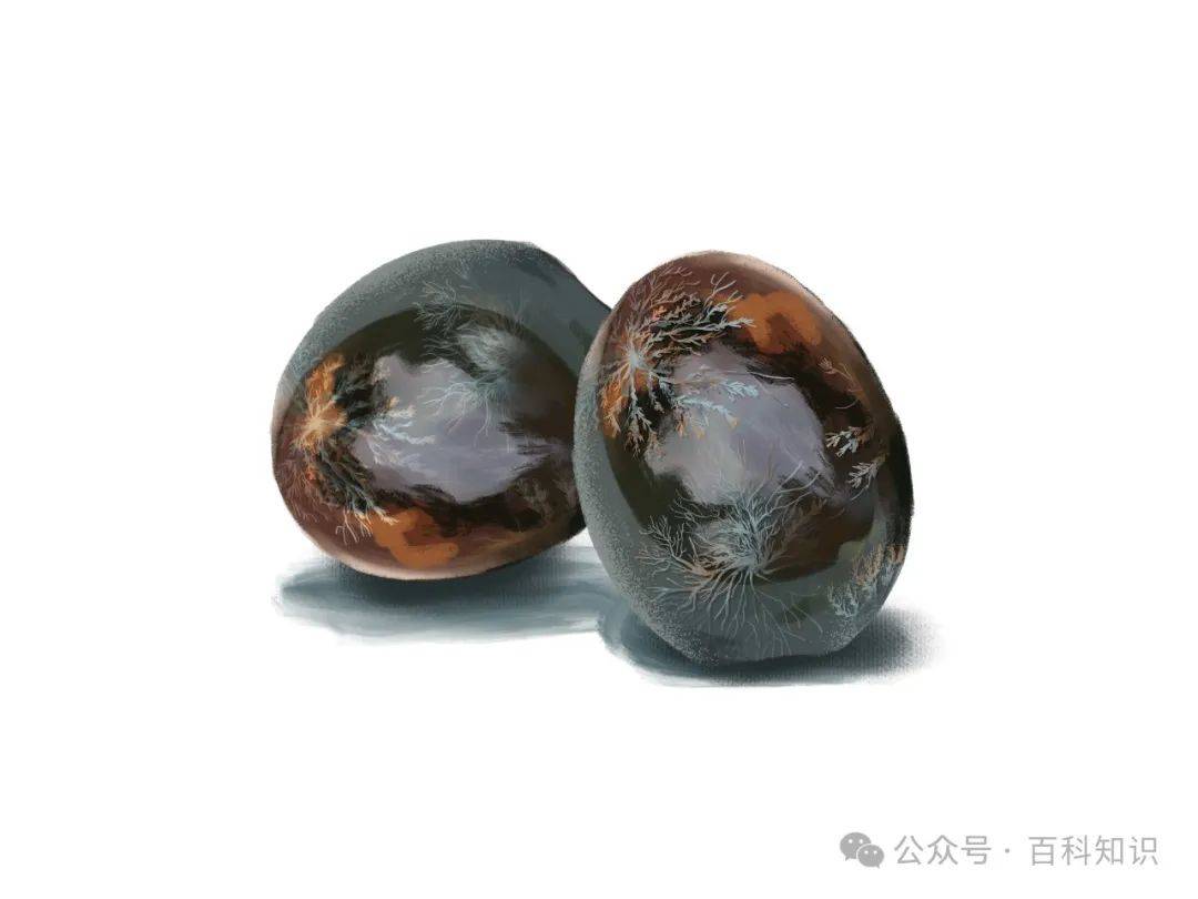 “松花”从哪里来自剥皮的鸡蛋