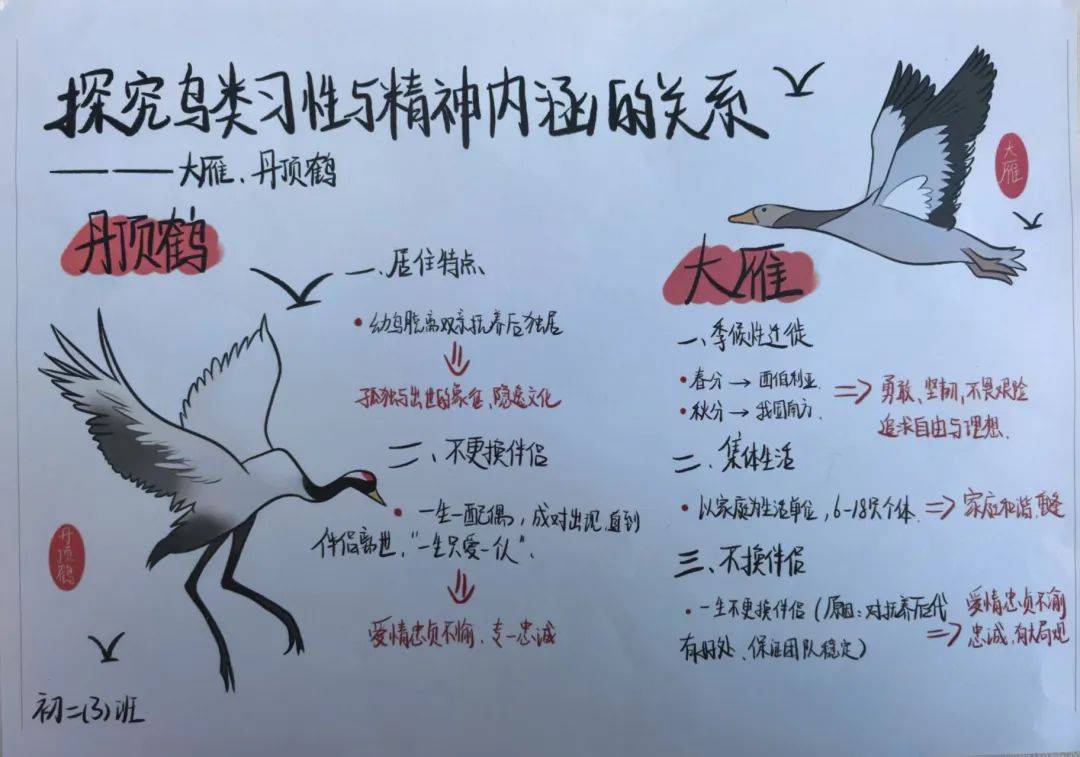 "古人爱鸟情,今时共传承"