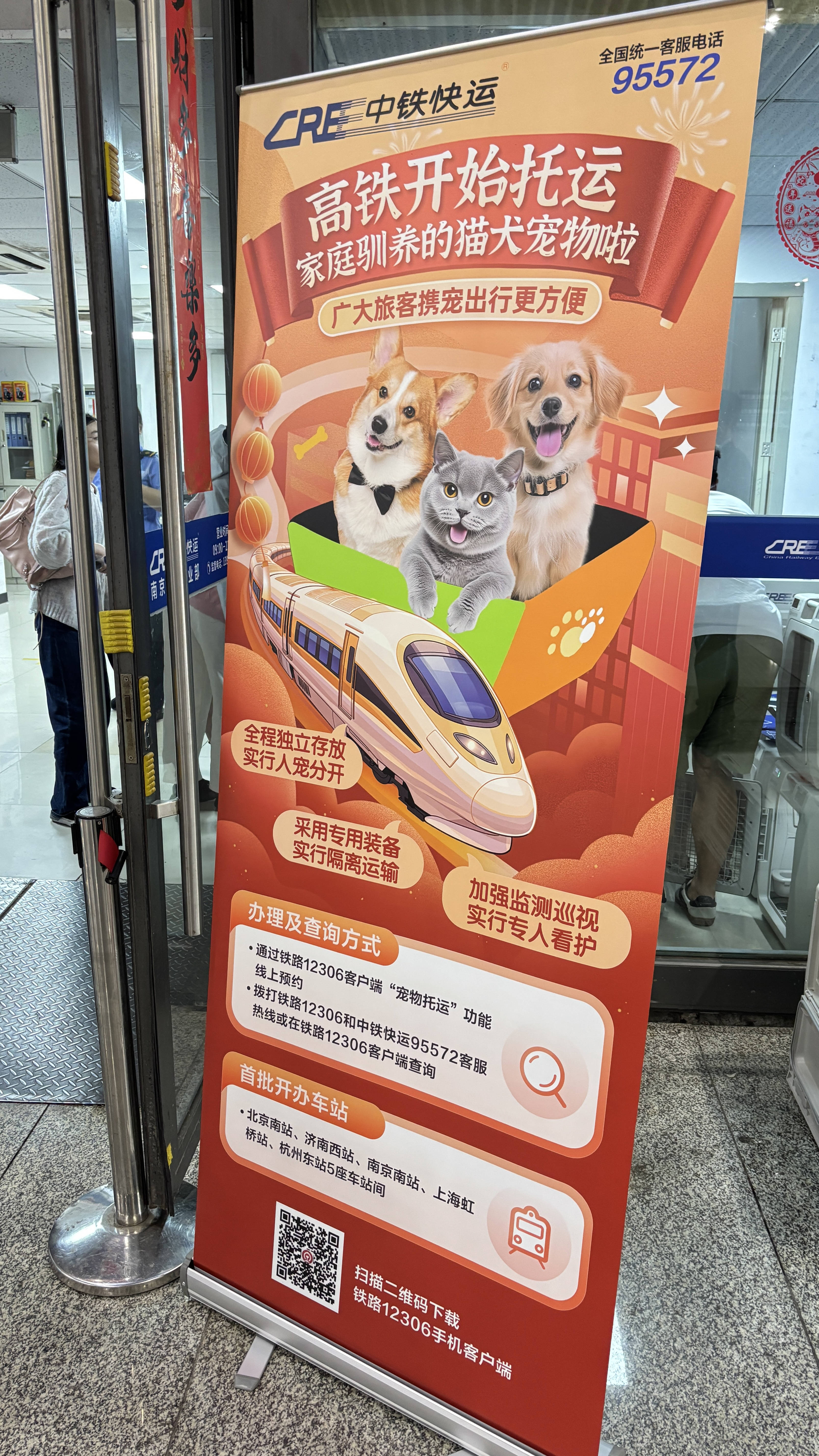 南京南站首单“宠物托运”发车，柯基犬成首位“旅客”（南京南站可以托运行李吗）