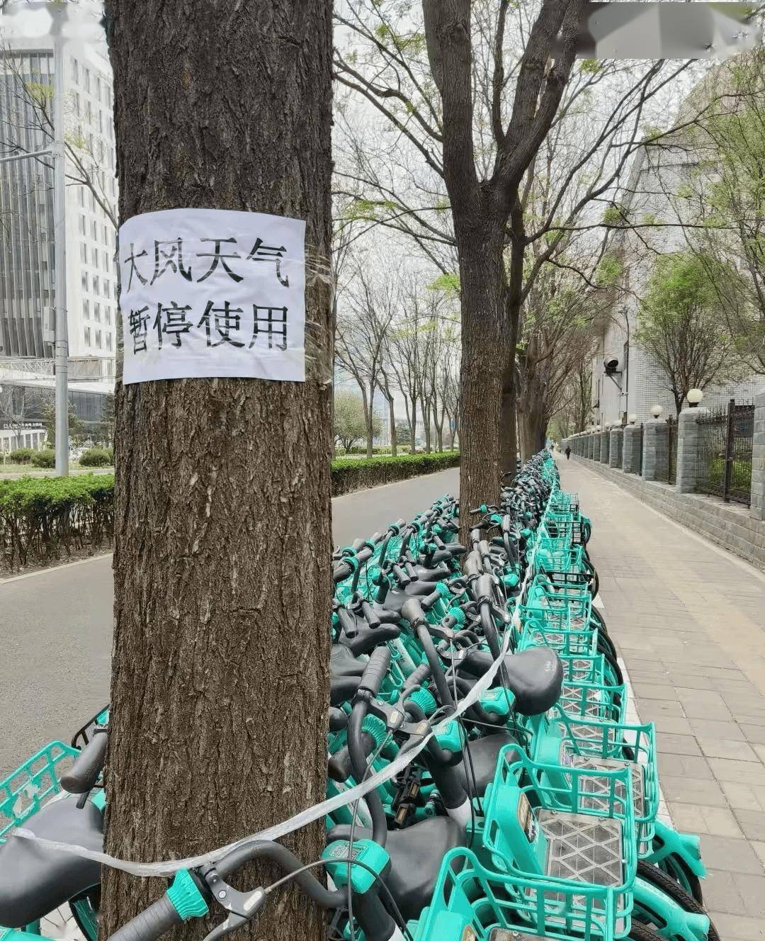在北京,一场事先张扬的大风