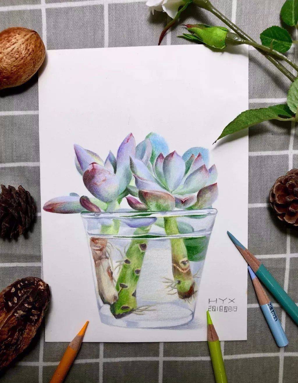 教你画杯子里的彩铅多肉!