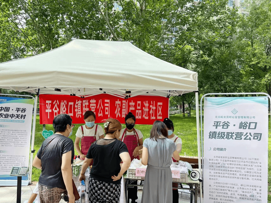 镇级联营公司携峪口农副产品走进朝阳区社区开展推介活动