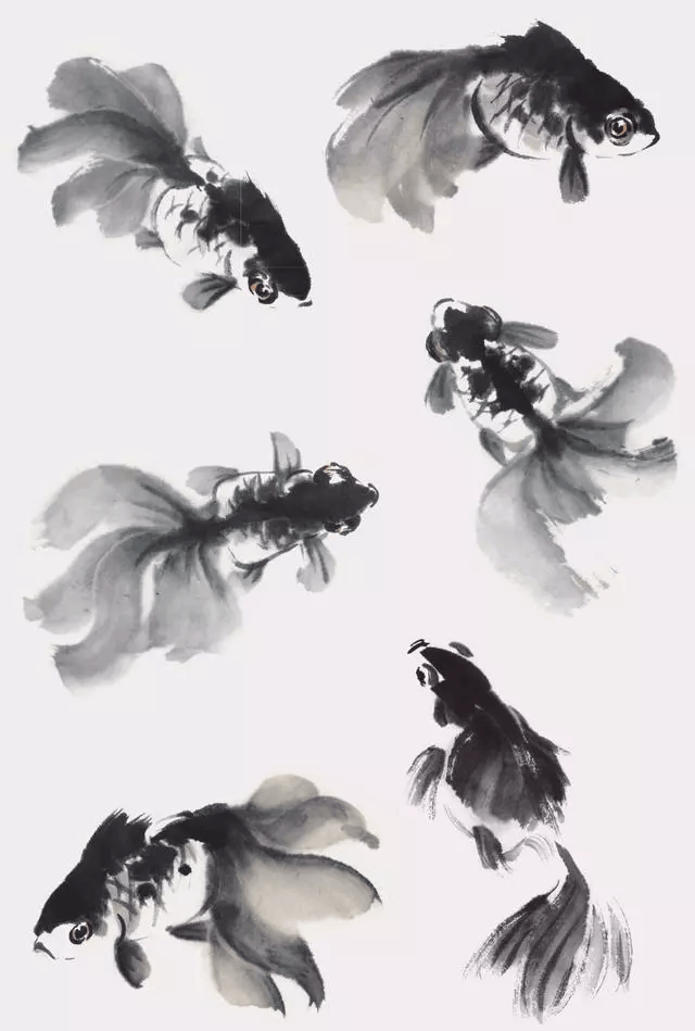 写意金鱼画法,一学就会!