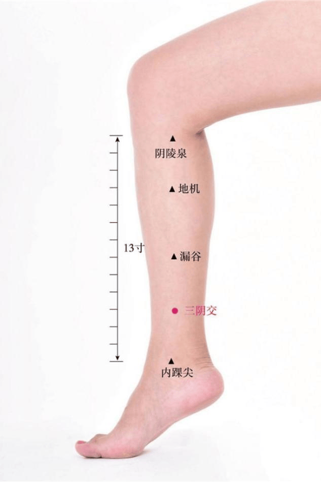 世界痛风日:"3多3少3推荐"!中医教你控尿酸