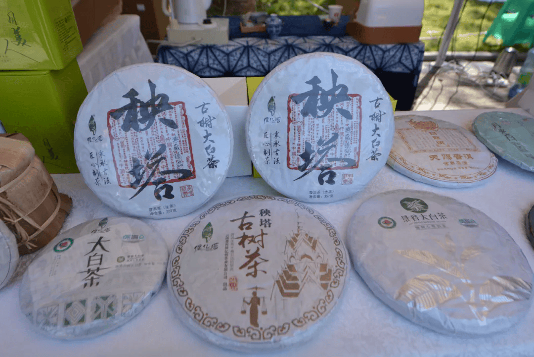 雷火竞技网址【特色产业】“白茶雅韵·茶香景谷”——2025景谷大白茶新质生产力发展交流会成功举办(图2)