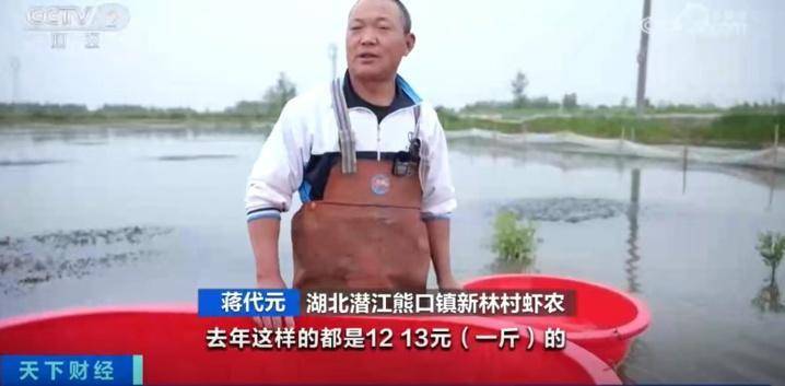 常常這裡痛、那裡痛？專家曝「這5種飲食習慣」可幫助緩解 咖啡過午別喝