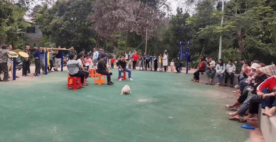 南开乡：“庭院议事”听民声 共绘乡村新环球360APP图景(图1)