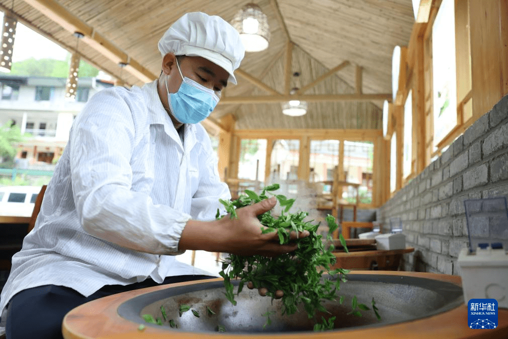 新葡萄娱乐甘肃康县：茶香悠悠(图5)