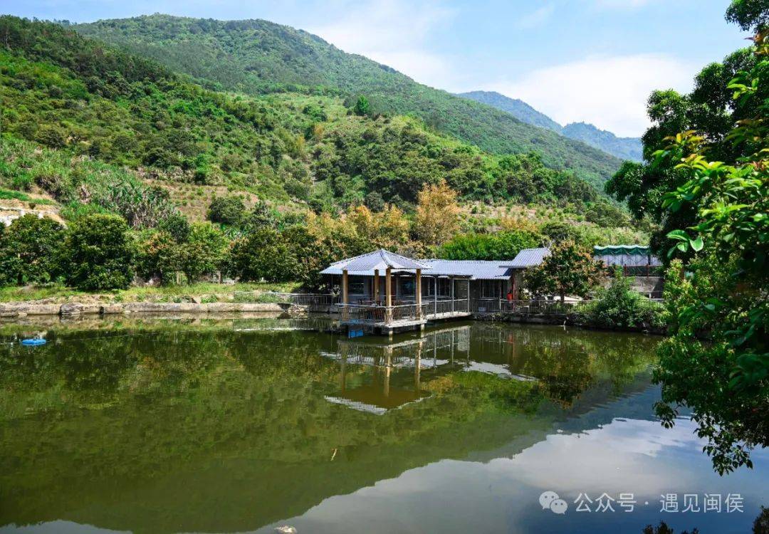 熟了开云体育入口熟了甜蜜爆汁快来这里采摘桑葚啦(图5)