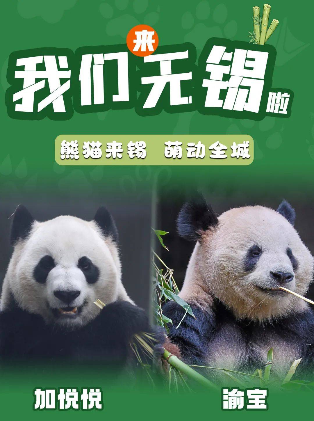 无锡动物园年卡自助办理