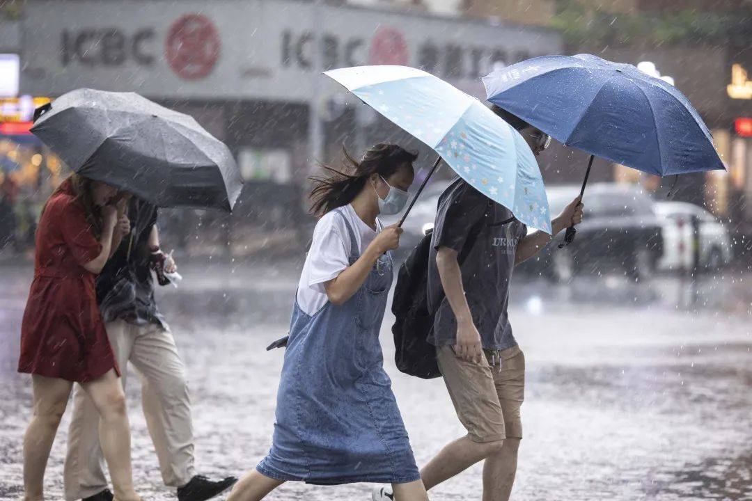 乐从镇天气今日情况