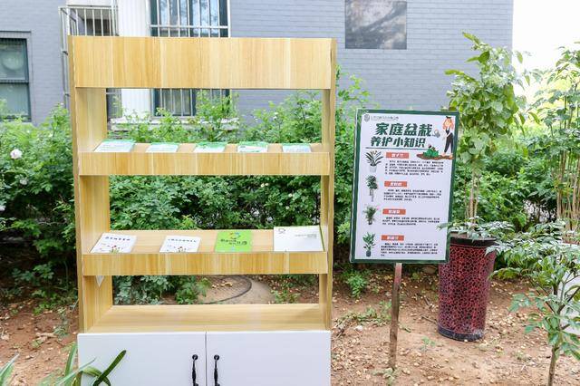“百姓园林”百姓议凝心聚力共绘“家门口的绿意”(图3)
