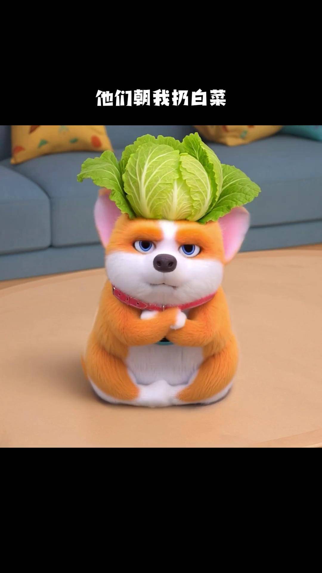 他们扔啥我吃啥~ 轻漫计划 充能计划 飞狗moco 萌宠 抽象