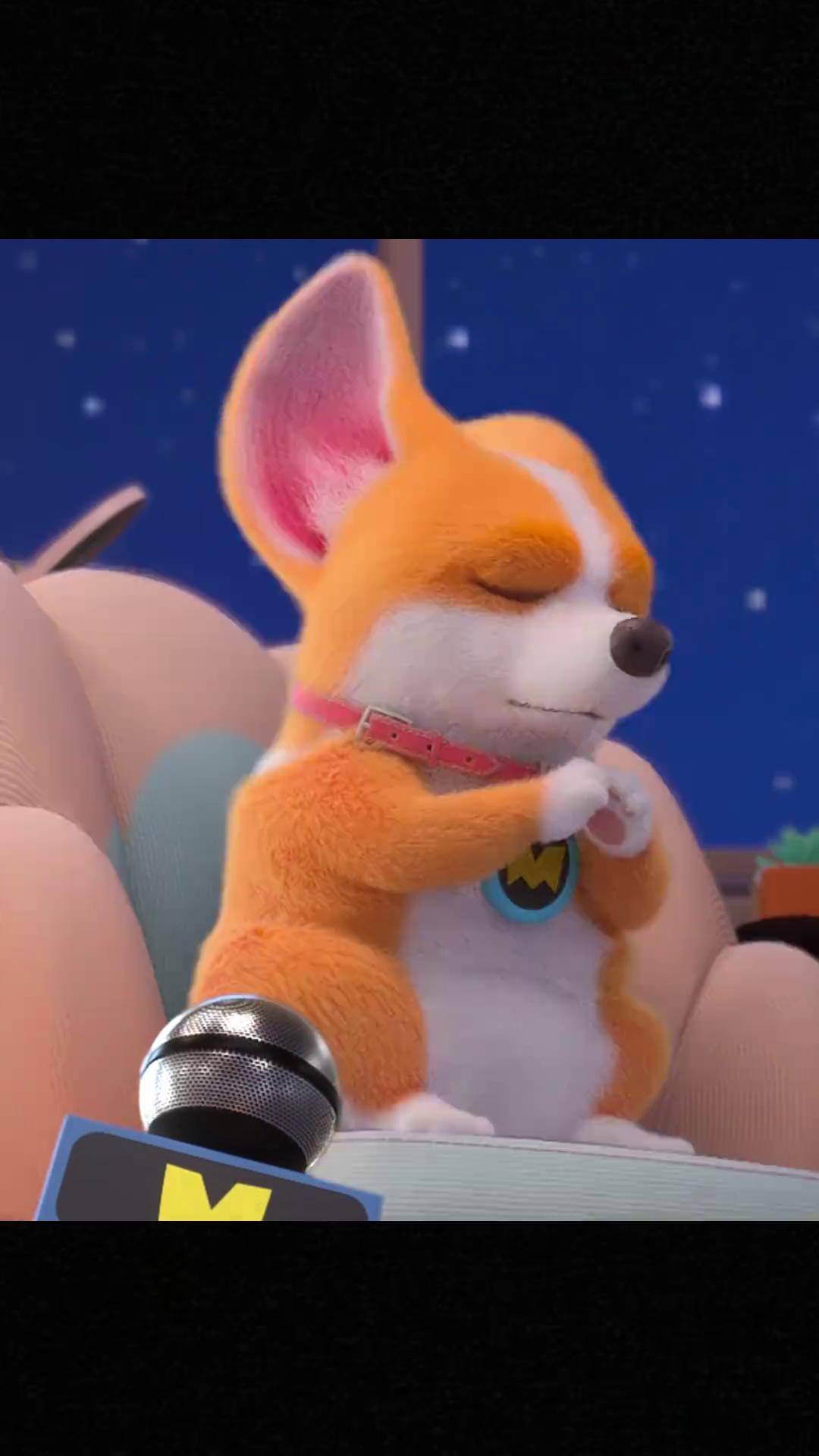 这狗到底是谁爱当啊 轻漫计划 充能计划 飞狗moco 萌宠 反差