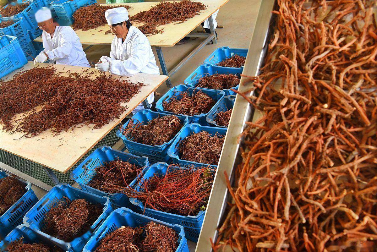 萝卜干酱菜加工成套设备