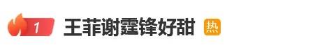 最佳搜索！ Faye Wong出现