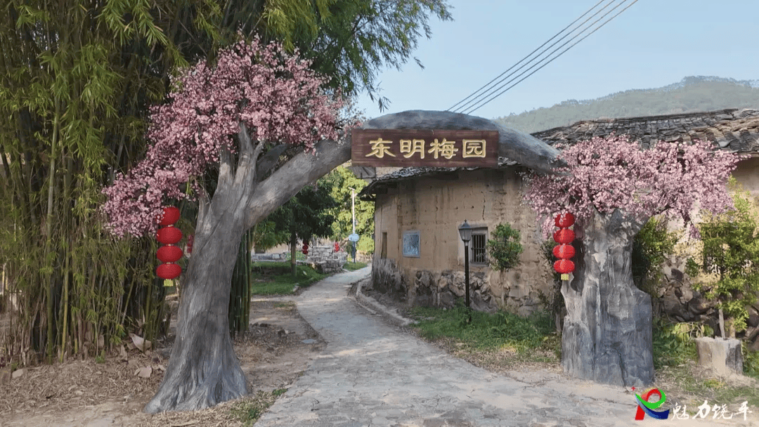 广东饶平：打造“美丽庭院” 绘就和美乡村新画卷环球360入口(图1)