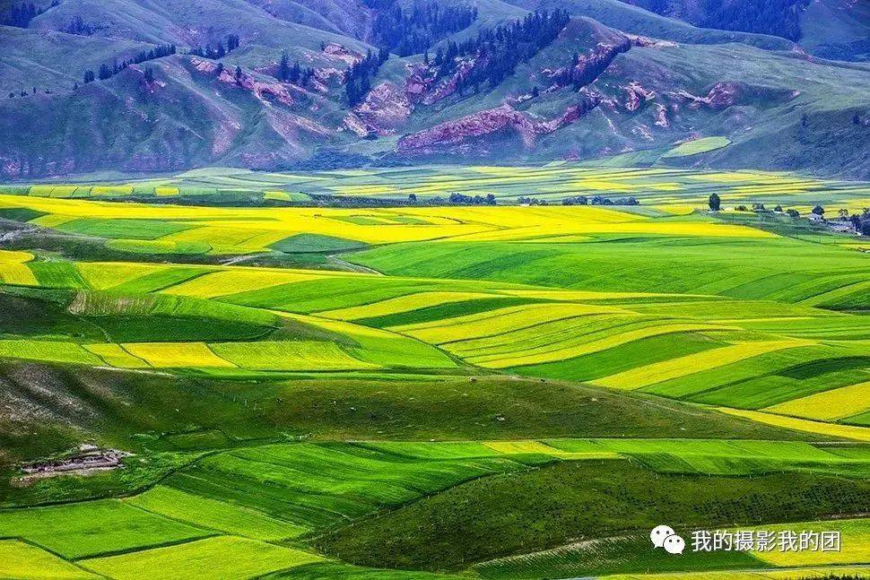 恒峰娱乐【全国招募】穿越河西走廊 西北经典大环线之门源花海祁连卓尔山茶卡察尔汗大柴旦茫崖盐湖艾肯泉嘉峪关月牙泉摄影团(图4)