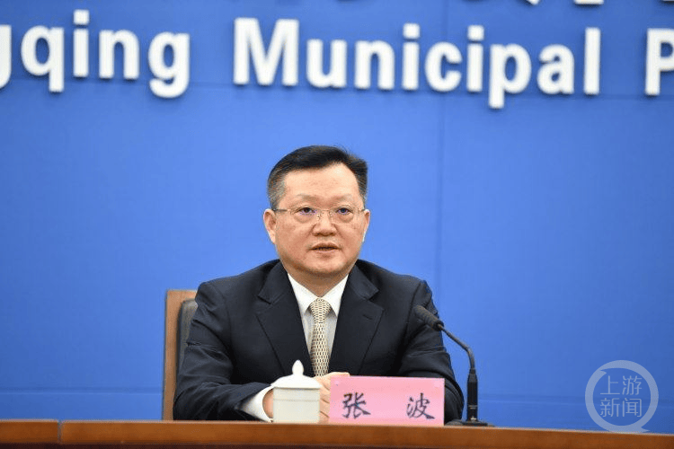 重庆构建"一中心四板块一网格"基层智治体系