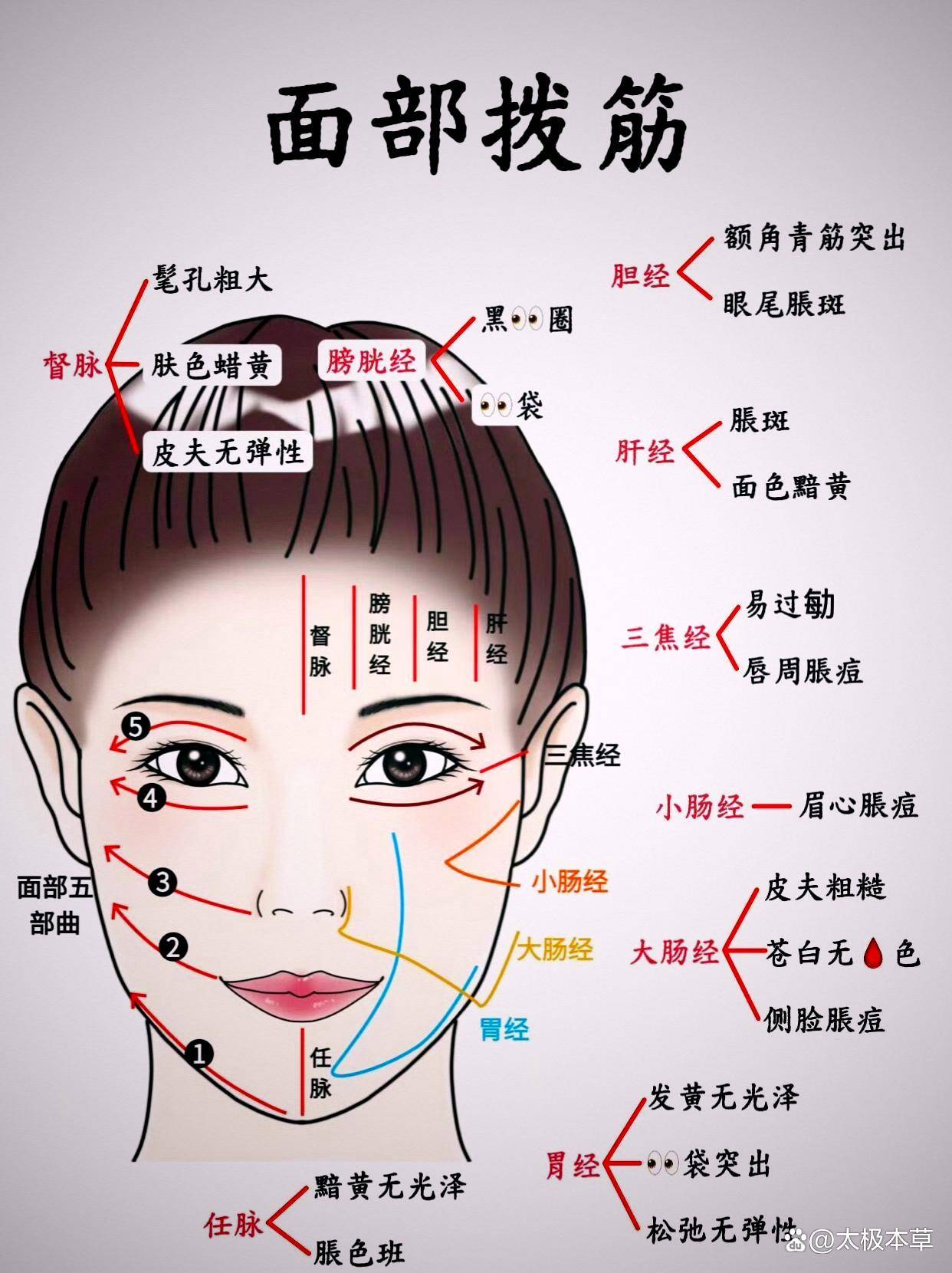 面部9大经络，面部拨筋步骤详解_刮痧_淋巴_耳垂