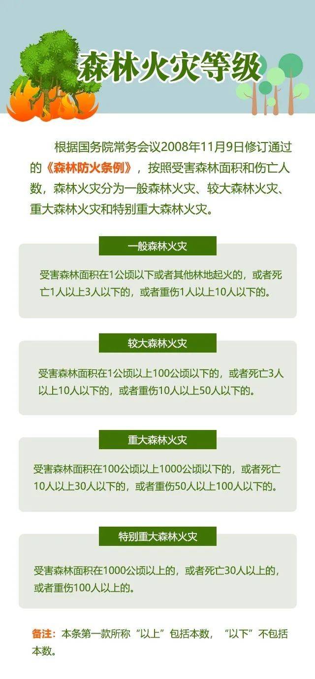 必知！森林防火攻略→
