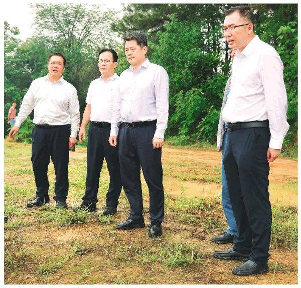 李楚卢新华深入秀峰灵川全州督导检查生态环境保护问题整改工作