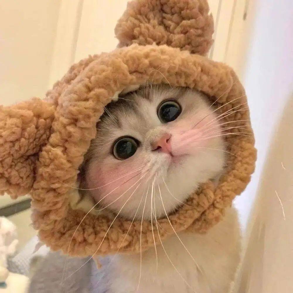 头像 | 爆好看的精选头像,超赞!