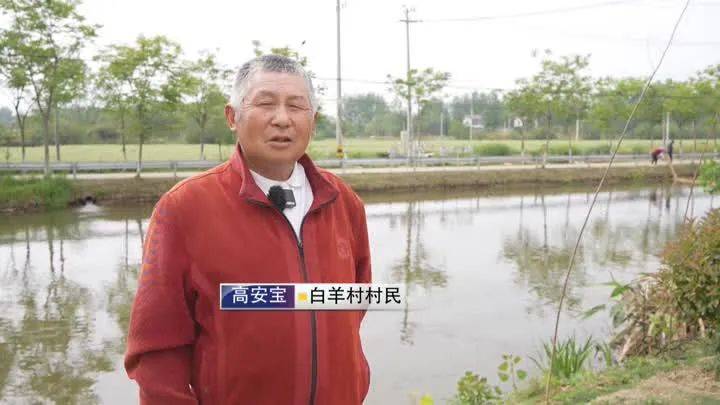快来看美嘉体育app 胥浦河白羊村大鲍冲心河(图8)