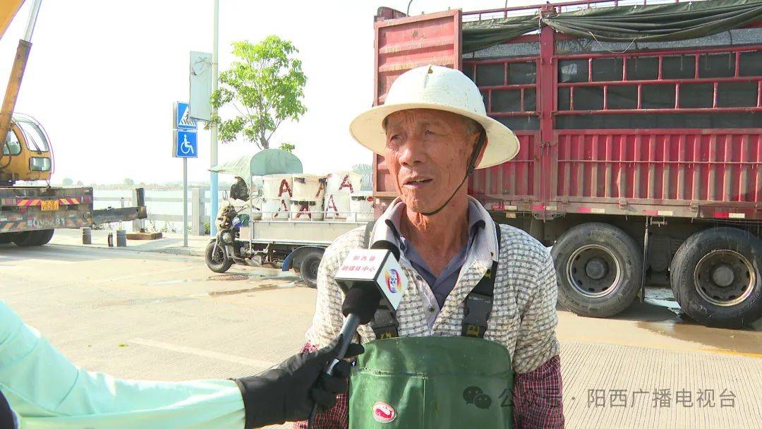 沙扒海菜大量上市 每天收获1美嘉体育下载0多万斤(图1)