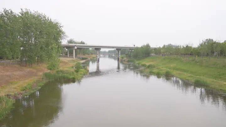 快来看美嘉体育app 胥浦河白羊村大鲍冲心河(图12)