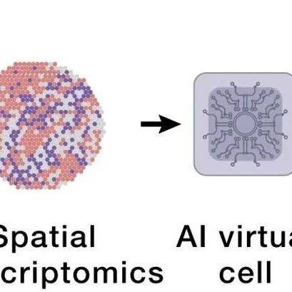 AI虚拟细胞_模拟_研究_生物学