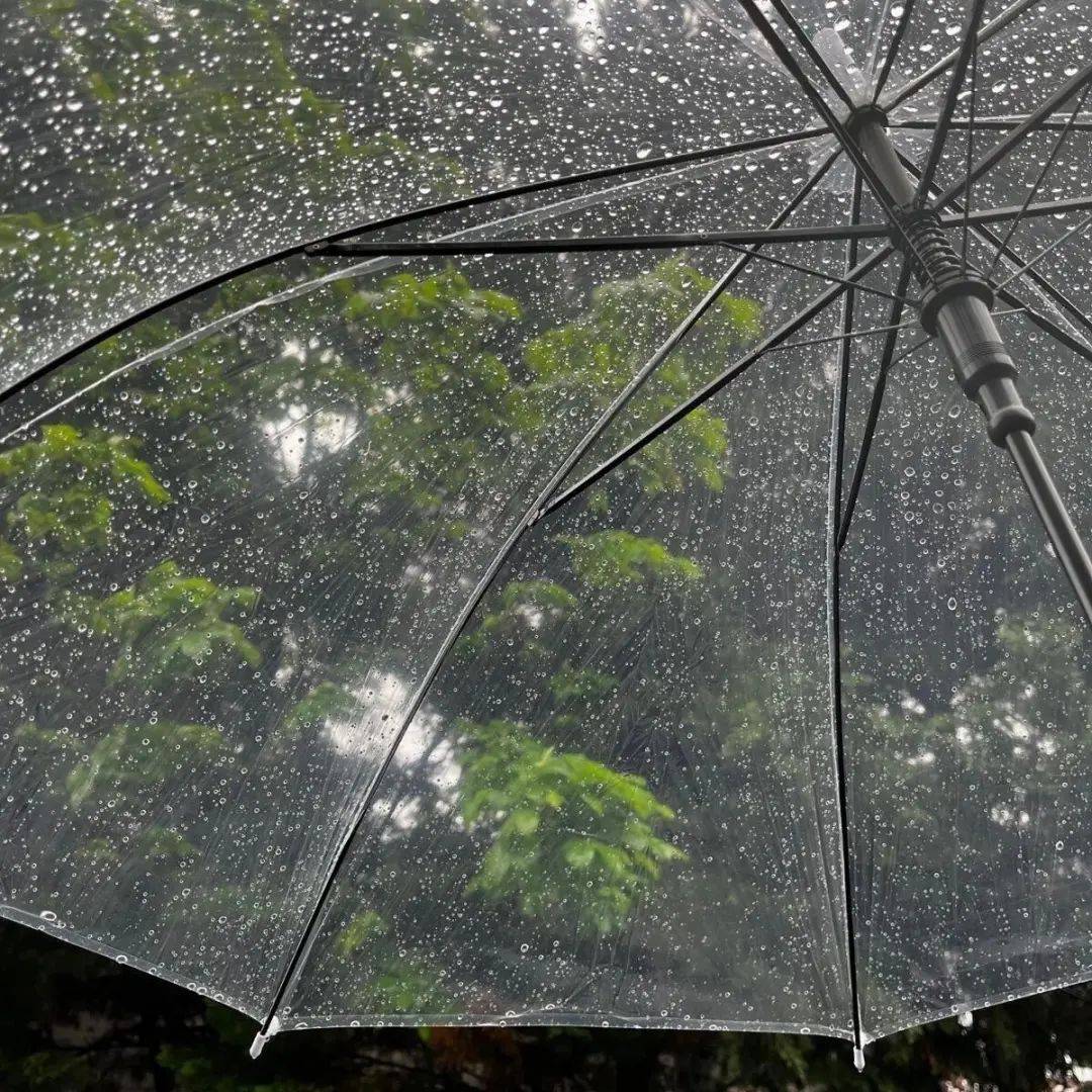 极具氛围感的雨天头像
