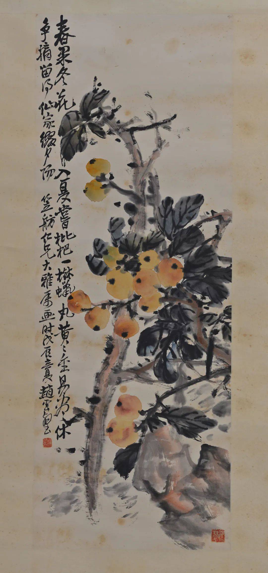 赵子云《枇杷图》92cm×33.5cm 纸本设色赵子云《枇杷图》：这幅1928年作品揭