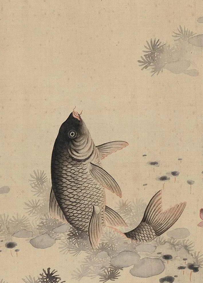 国画| 田世光笔下的小鱼儿，真快活！_搜狐网