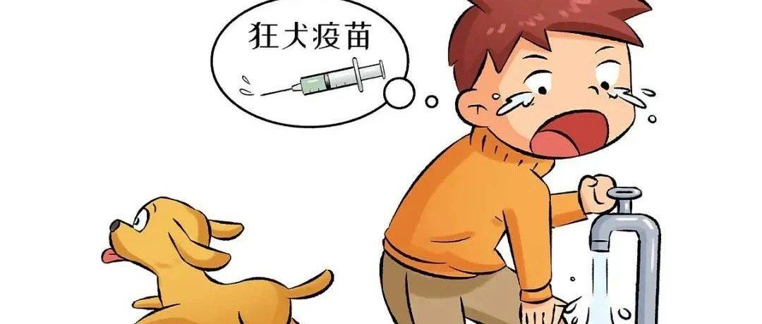 健康科普丨被猫狗咬伤,不能忽视的小伤口!_李大叔_处理_皮肤
