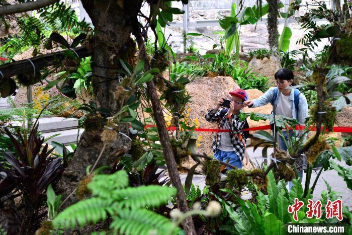福州三江口植物园吸引民众JN江南注册(图4)
