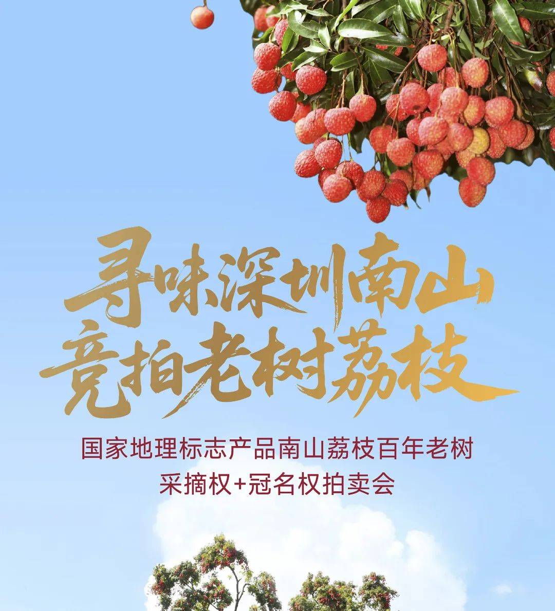活动预告丨寻味深圳南山,竞拍老树荔枝