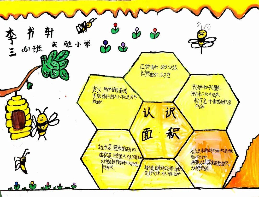 数学阅读绽芳菲 手绘小报展智慧