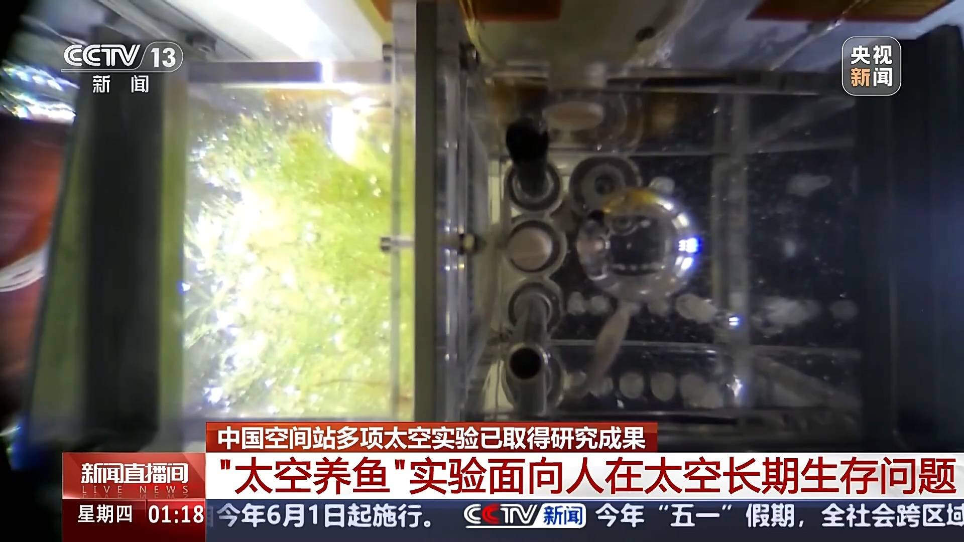 首次公布！我国空间站内发现微生物新物种