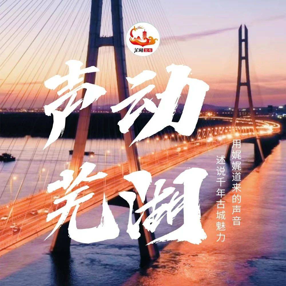 新港茶干：风味独特的繁昌美味_子青_口感_配方