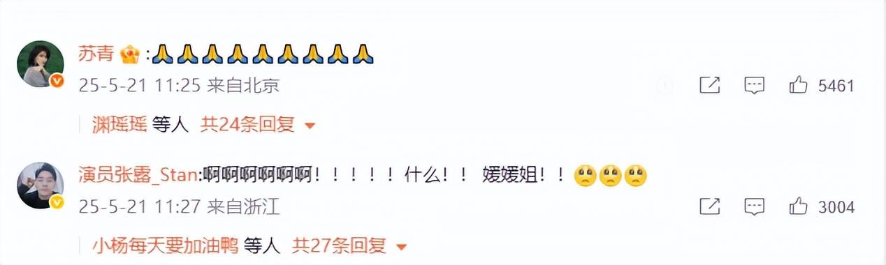 朱媛媛去世！辛柏青透露妻子临终状态，12字表心情，难怪相爱32年