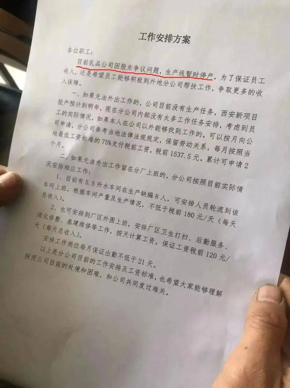“背刺”今麦郎背后，娃哈哈内斗激烈 || 深度