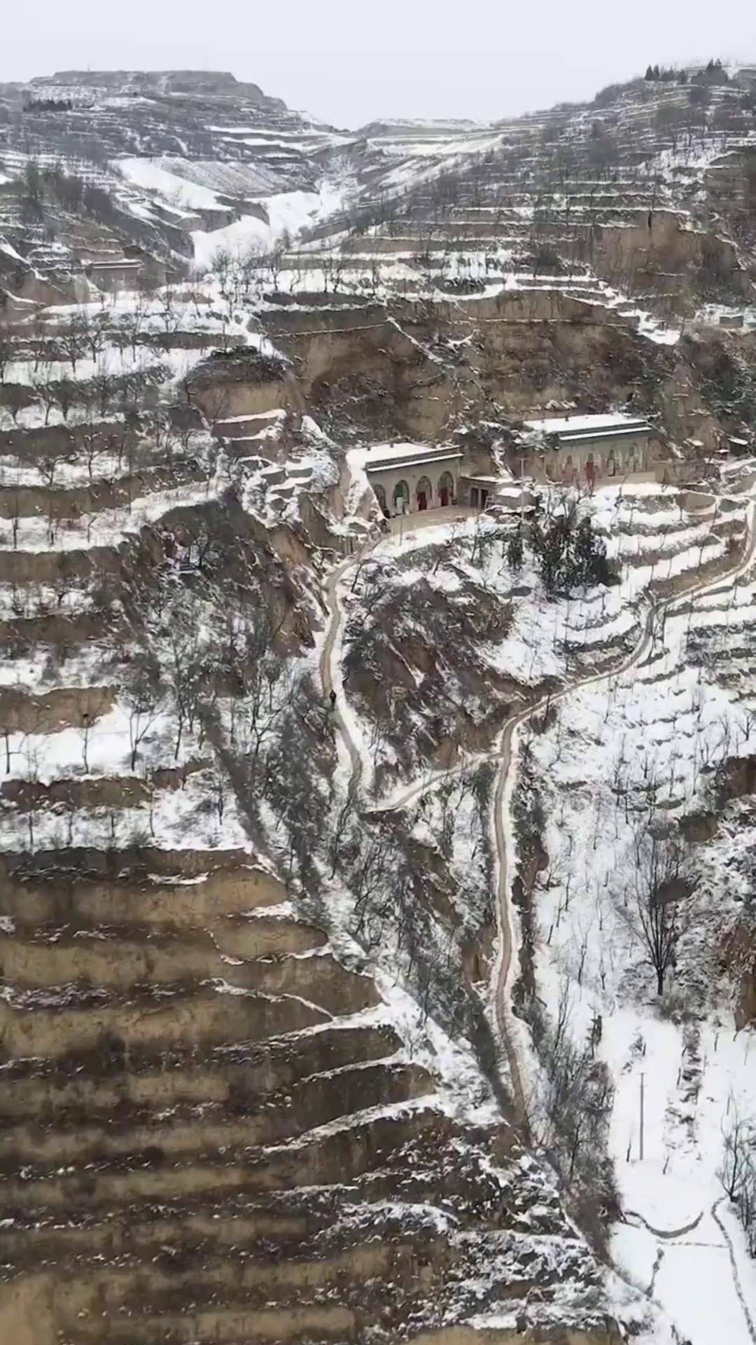 见过黄土高原雪景吗?住过陕北窑洞吗?黄土高原 雪景 陕北 旅行