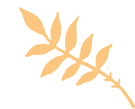 唐钢高强酸洗汽车钢，赋能国内车企新车型模具创新开发