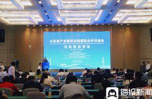 商务+助企惠民 | 山东省产业链供应链国际合作对接会马来西亚专场活动在济成功举办_投资_企业