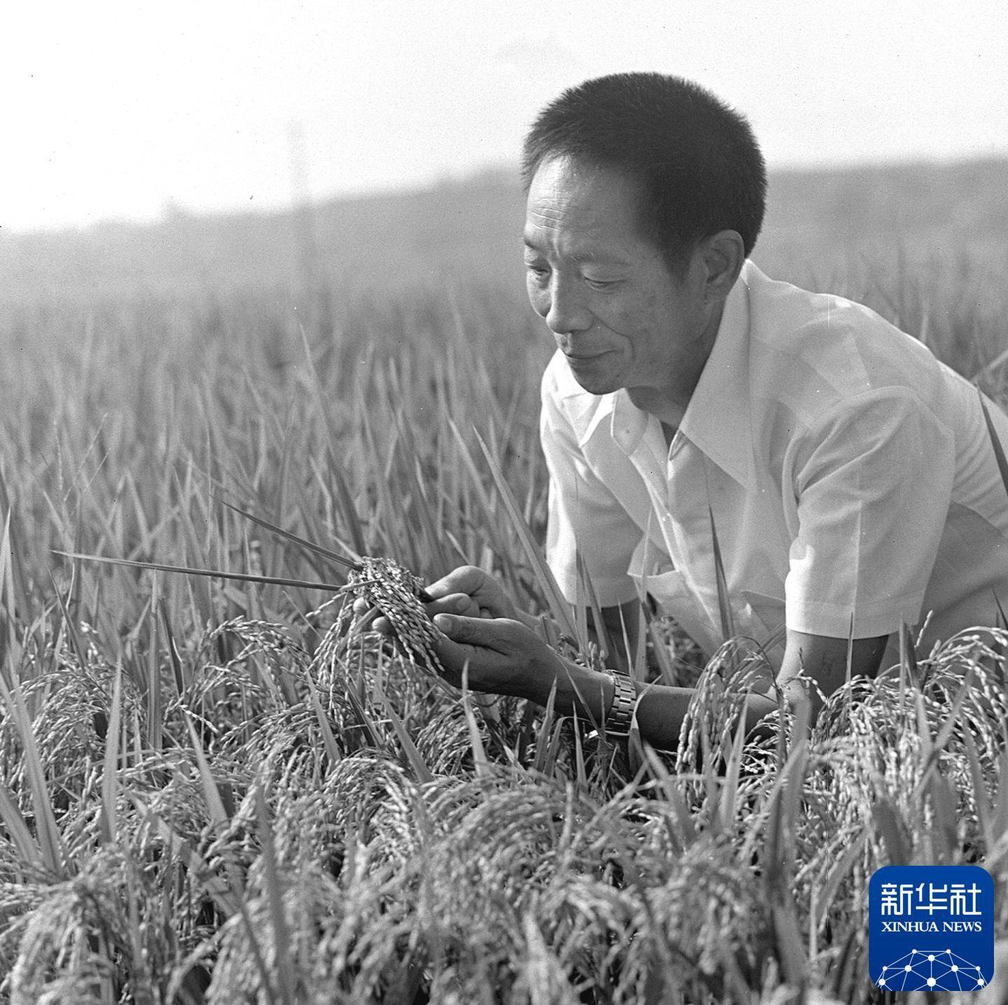 在照片中缅怀袁隆平,吴孟超