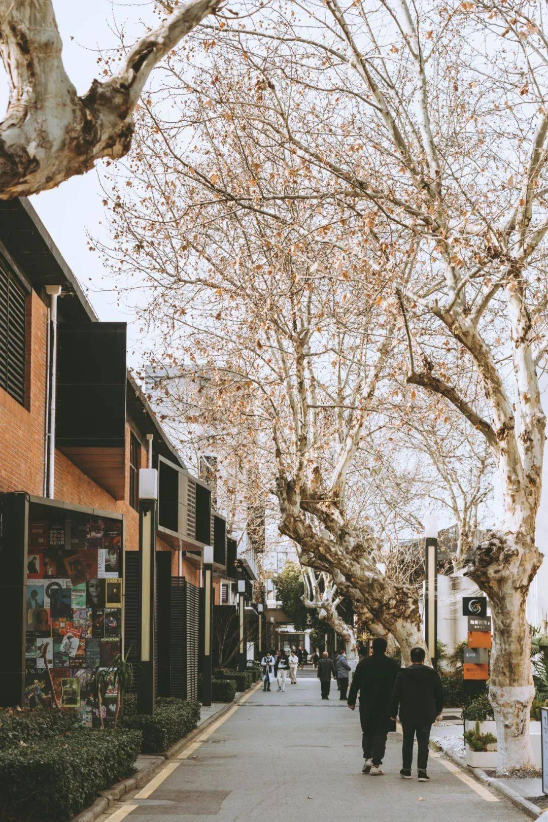 莫愁路329号,去南京老厂房走一走